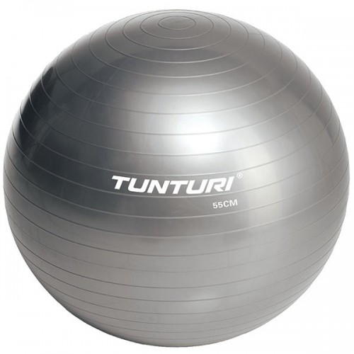 Фитбол Tunturi Gymball 65 см серый